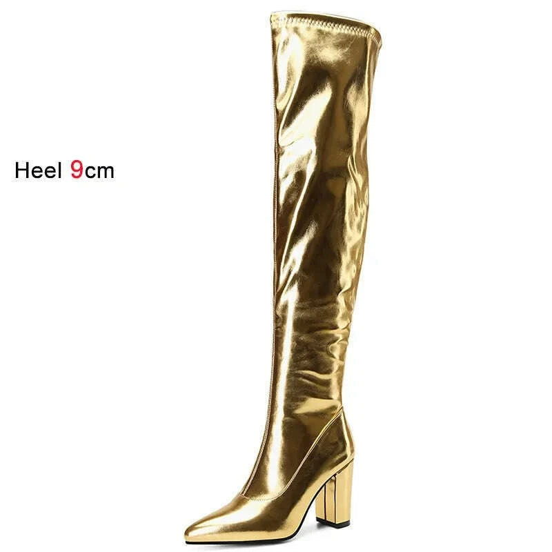 Spring/Autumn Over-the-Knee Women's Boots Thick Heel Pointed Toe Zipper Square High Heel Thigh Boots Elastic Riding Boot Female - KIMLUD