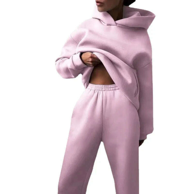 Women Hooded Tracksuit Sports 2 Pieces Set Streetwear Sweatshirts Pullover Pants Suit Home Sweatpants Trousers Outfits 2023 - KIMLUD