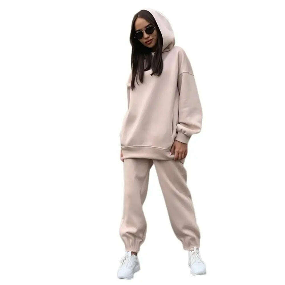 Women Two Piece Sets Tracksuit Hooded Sweatshirt Tops Sweatpants Pants Set Female Spring Autumn Long Sleeve Pullover Sports Set - KIMLUD