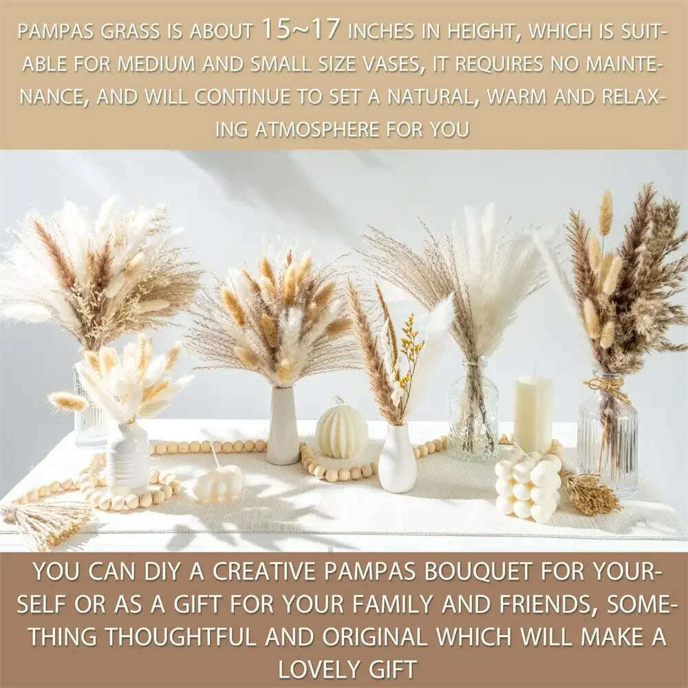 105pcs Natural Dried Flowers Pampas Floral Bouquet Boho Country Home Decoration Rabbit Tail Grass Reed Wedding Decor Arrangement - KIMLUD